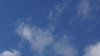 hana26 (294)_thumb.png